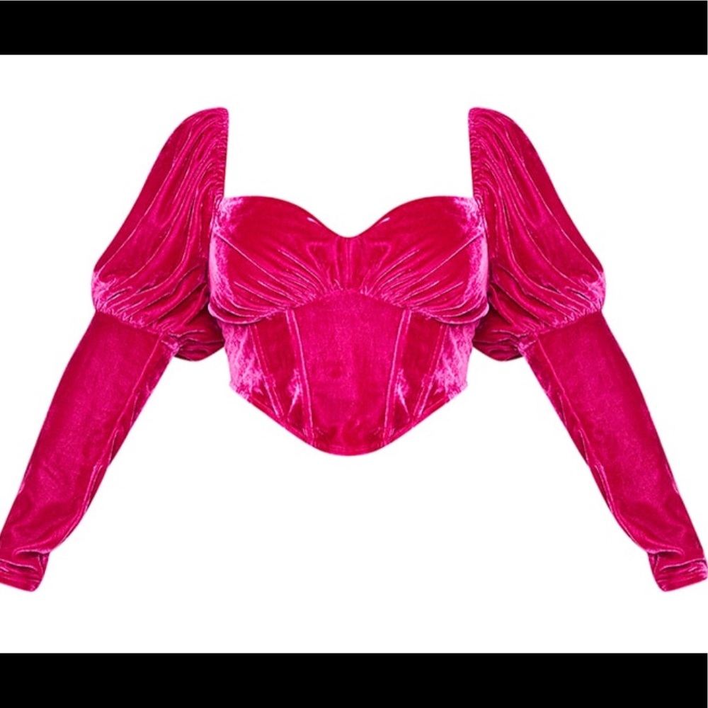 Fuschia Velvet Corset Top